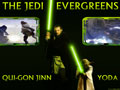 Jedi Evergreens
