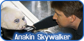 Die Anakin-Skywalker-Büste